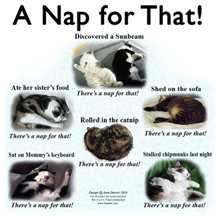 anapforthatcats design image