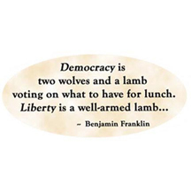 democracylamb design image