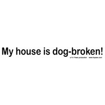 dogbroken design image