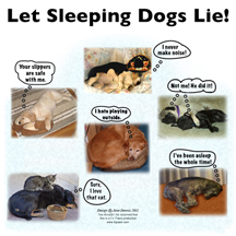 sleepingdogslie design image